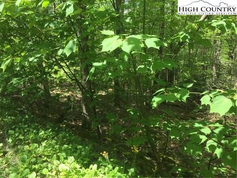 142 Wild Daisy Ln, Beech Mountain, NC 28604 photo 5