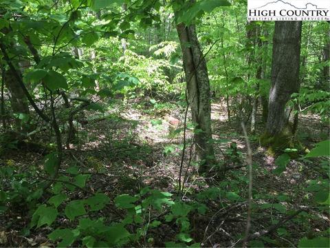 142 Wild Daisy Ln, Beech Mountain, NC 28604 photo 4