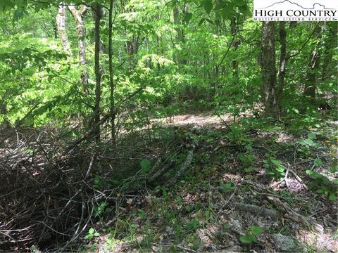 142 Wild Daisy Ln, Beech Mountain, NC 28604 photo 7