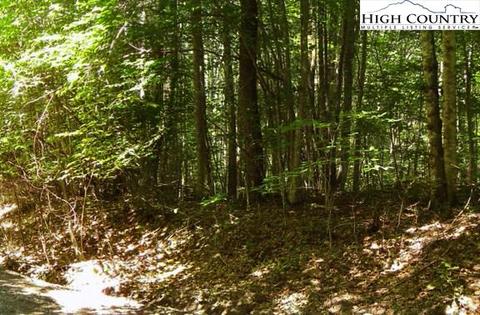145 Arrowhead Rd, Beech Mountain, NC 28604 photo 2
