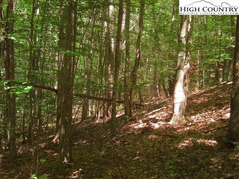 145 Arrowhead Rd, Beech Mountain, NC 28604 photo 1