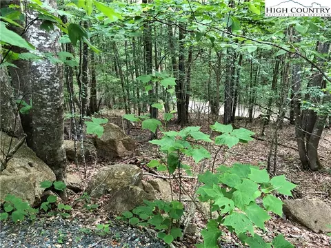 136 Arrowhead Rd, Beech Mountain, NC 28604 photo 1