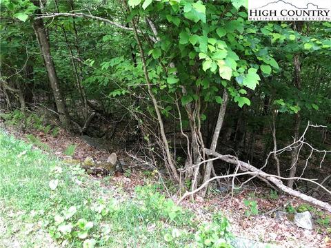 106 Aster Trl, Beech Mountain, NC 28604 photo 1