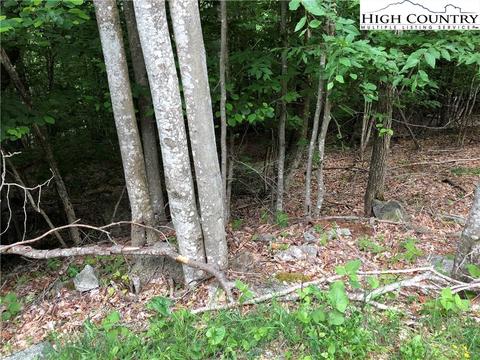 106 Aster Trl, Beech Mountain, NC 28604 photo 2