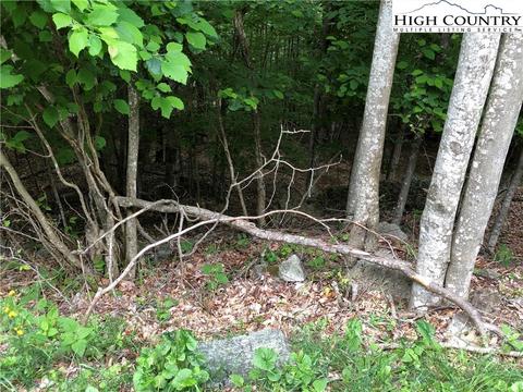 106 Aster Trl, Beech Mountain, NC 28604 photo 3