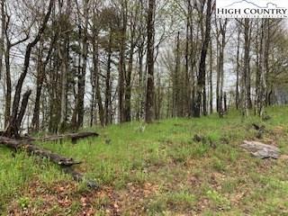 200 Pinnacle Ridge Rd, Beech Mountain, NC 28604 photo 1