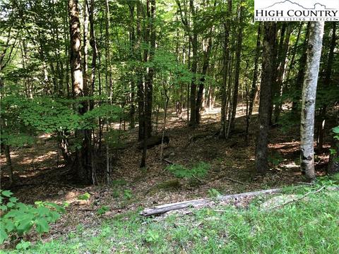 112 Beadwood Ln, Beech Mountain, NC 28604 photo 1
