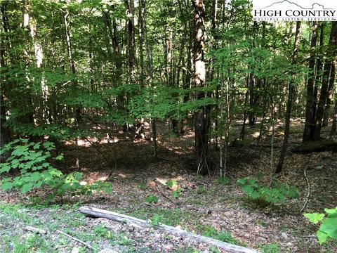 112 Beadwood Ln, Beech Mountain, NC 28604 photo 2