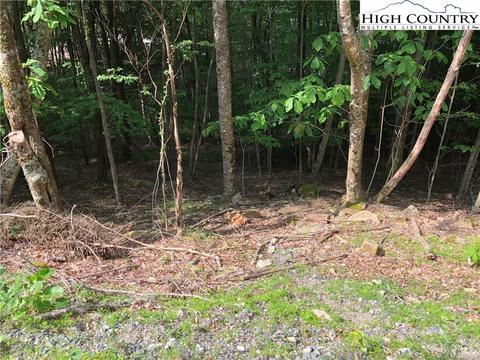 103 Heather Ln, Beech Mountain, NC 28604 photo 1