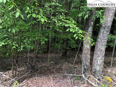 103 Heather Ln, Beech Mountain, NC 28604 photo 2
