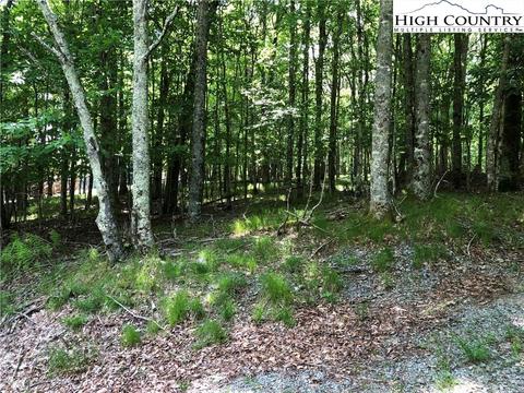 117 Hemlock Cir, Beech Mountain, NC 28604 photo 1