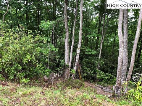 1116 Pine Ridge Rd, Beech Mountain, NC 28604 photo 1