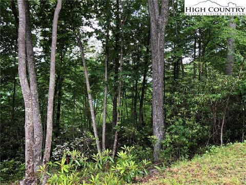 1116 Pine Ridge Rd, Beech Mountain, NC 28604 photo 2