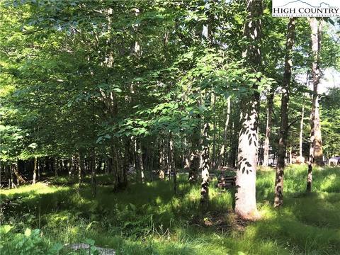 104 Wintergreen Way, Beech Mountain, NC 28604 photo 1