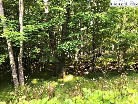 104 Wintergreen Way, Beech Mountain, NC 28604 photo 2