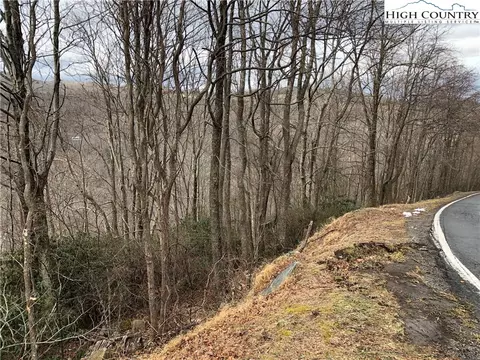 500 Pinnacle Ridge Rd, Beech Mountain, NC 28604 photo 6