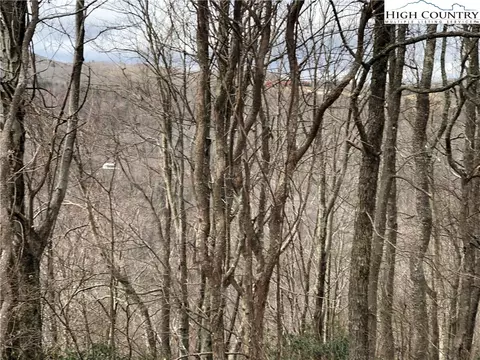 500 Pinnacle Ridge Rd, Beech Mountain, NC 28604 photo 8