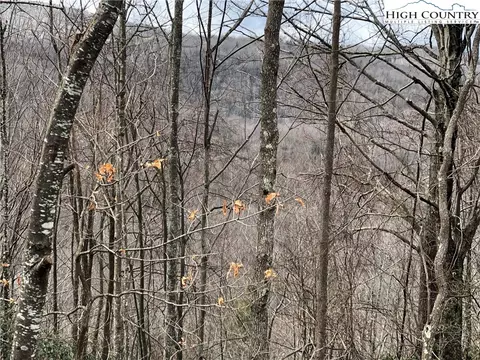500 Pinnacle Ridge Rd, Beech Mountain, NC 28604 photo 9
