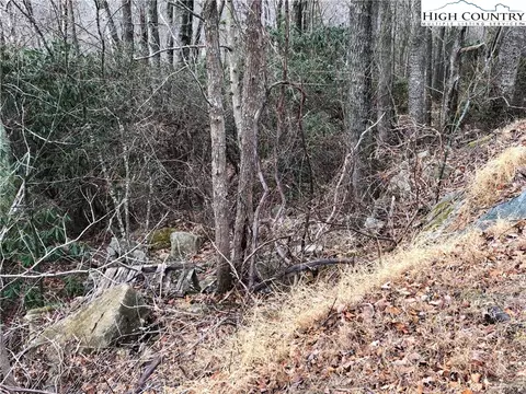 500 Pinnacle Ridge Rd, Beech Mountain, NC 28604 photo 10