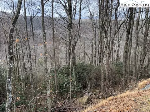 500 Pinnacle Ridge Rd, Beech Mountain, NC 28604 photo 5
