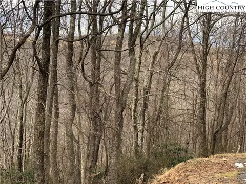 500 Pinnacle Ridge Rd, Beech Mountain, NC 28604 photo 7
