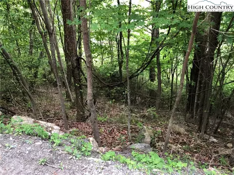 500 Pinnacle Ridge Rd, Beech Mountain, NC 28604 photo 3