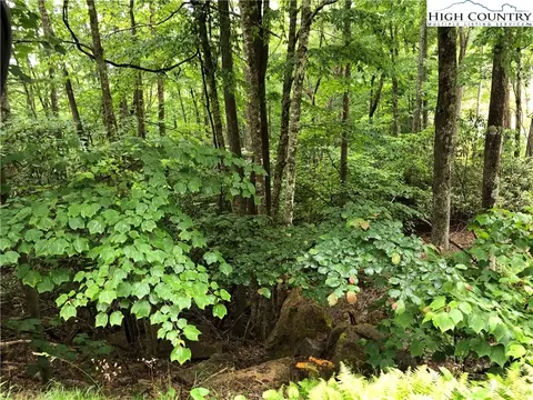 253 Poplar Dr, Beech Mountain, NC 28604 photo 1