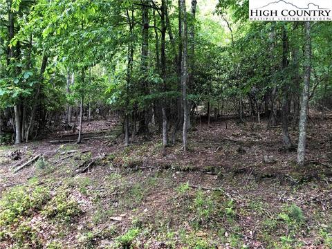 262 Poplar Dr, Beech Mountain, NC 28604 photo 2
