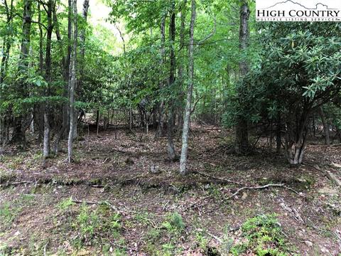 262 Poplar Dr, Beech Mountain, NC 28604 photo 1