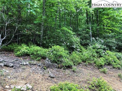 272 Poplar Dr, Beech Mountain, NC 28604 photo 4