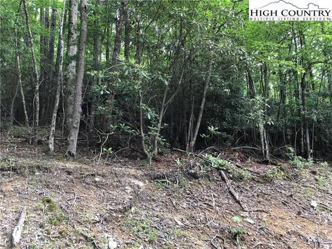 272 Poplar Dr, Beech Mountain, NC 28604 photo 2