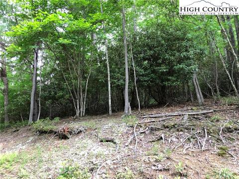 272 Poplar Dr, Beech Mountain, NC 28604 photo 3