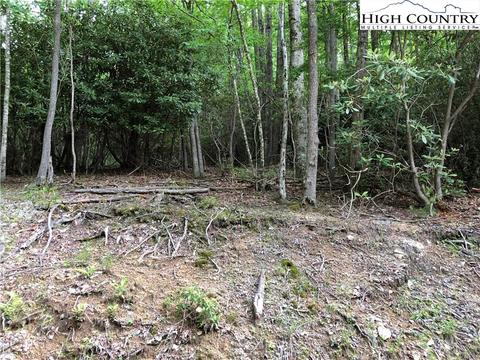 272 Poplar Dr, Beech Mountain, NC 28604 photo 1