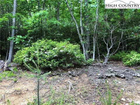 272 Poplar Dr, Beech Mountain, NC 28604 photo 5