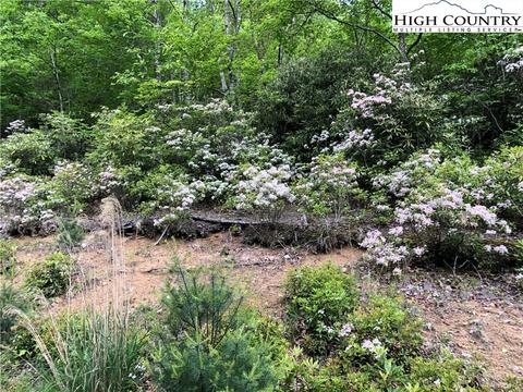 298 Poplar Dr, Beech Mountain, NC 28604 photo 1