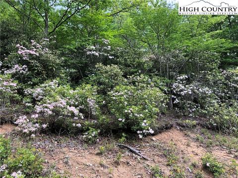 298 Poplar Dr, Beech Mountain, NC 28604 photo 2