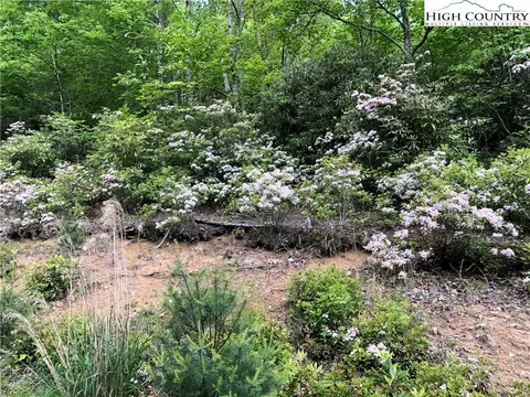 298 Poplar Dr, Beech Mountain, NC 28604 photo 1