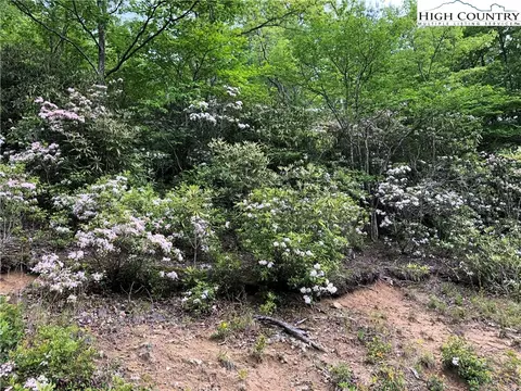 298 Poplar Dr, Beech Mountain, NC 28604 photo 2