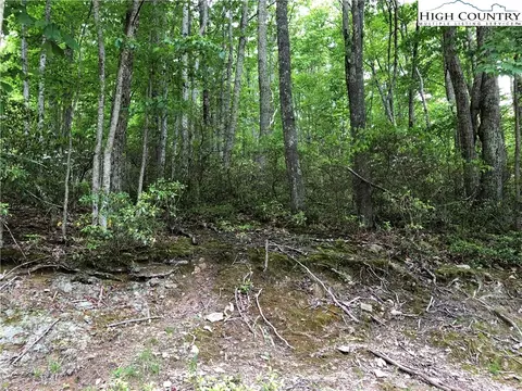 154 Rhododendron Dr, Beech Mountain, NC 28604 photo 1