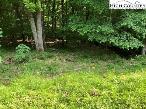 213 Sawmill Branch Rd, Beech Mountain, NC 28604 photo 1