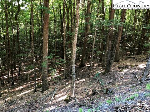 184 Wild Daisy Ln, Beech Mountain, NC 28604 photo 1