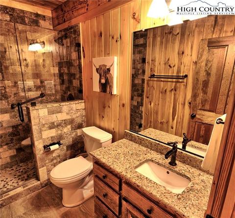 800 Lump Rd, Purlear, NC 28665 photo 20
