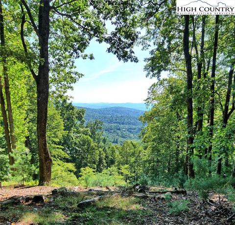 800 Lump Rd, Purlear, NC 28665 photo 17