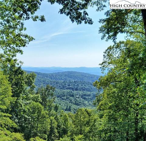 800 Lump Rd, Purlear, NC 28665 photo 18