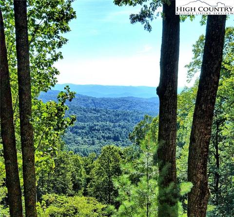 800 Lump Rd, Purlear, NC 28665 photo 19