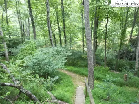 71 Spring Ln, Sparta, NC 28675 photo 20