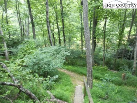 71 Spring Ln, Sparta, NC 28675 photo 20