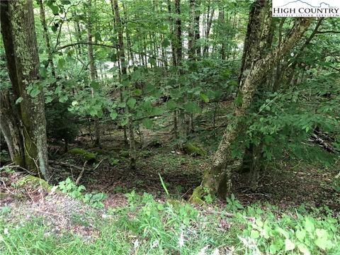 111 Creekridge Rd, Beech Mountain, NC 28604 photo 1