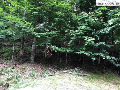 111 Creekridge Rd, Beech Mountain, NC 28604 photo 4