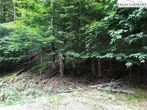 111 Creekridge Rd, Beech Mountain, NC 28604 photo 3